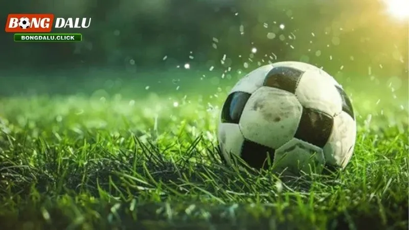 Chấp 3/4 trái là sao?