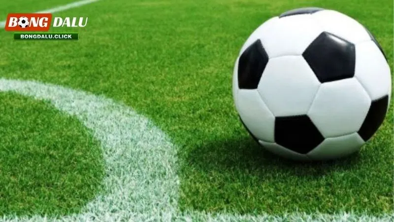 Kèo chấp 0/0.5 là gì? Độ hot của kèo chấp 0/0.5