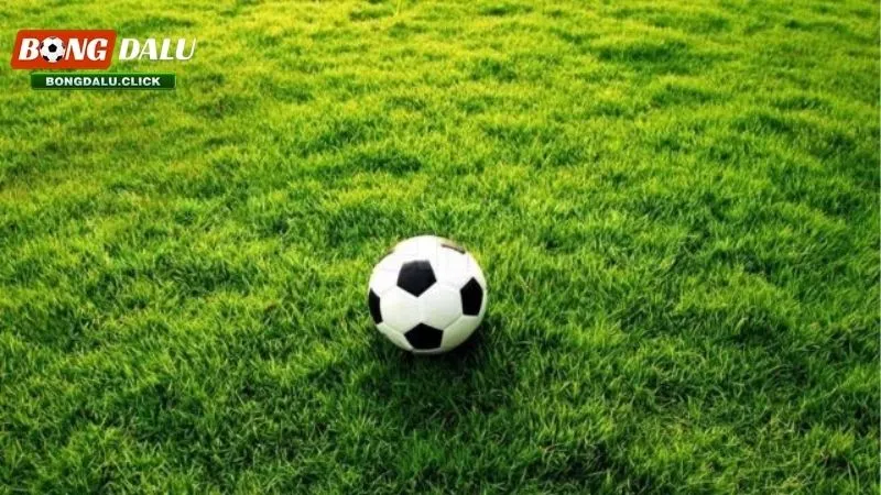Mẹo cá cược bóng cỏ thắng đậm nhất