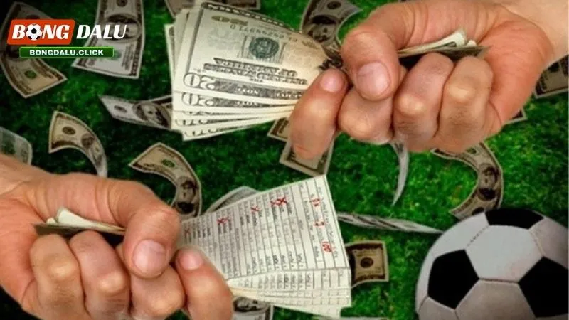 Một số kinh nghiệm để soi bảng cược tỷ số giành thắng lợi