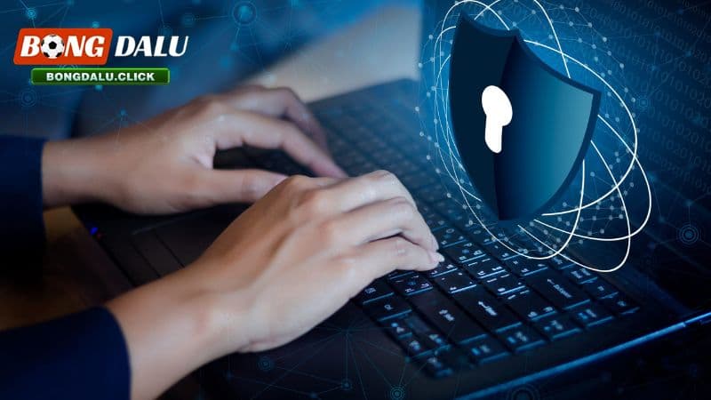 bongdalu thu thập thông tin người dùng khi bạn cung cấp để đăng ký