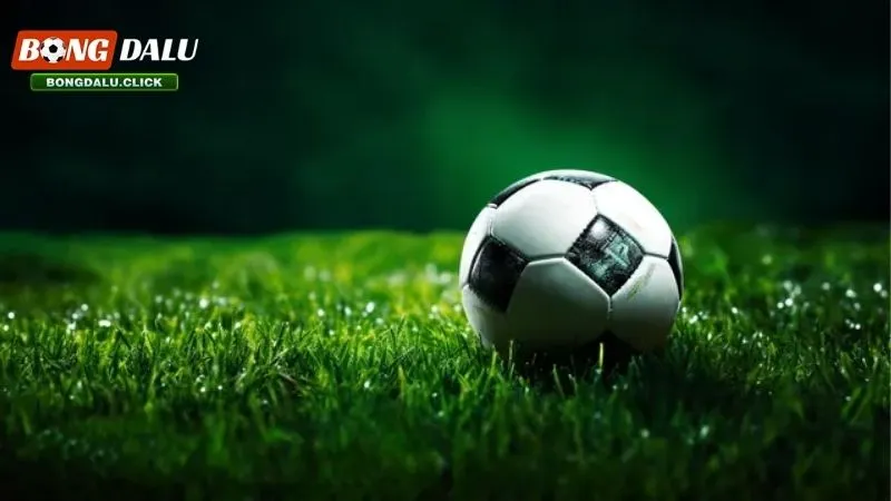 Bóng cỏ là gì